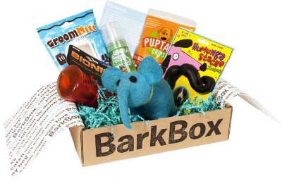 犬のご褒美ボックスだけじゃない。BarkBoxの尽きないアイデア 犬のご褒美ボックスだけじゃない。BarkBoxの尽きないアイデア