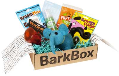 犬のご褒美ボックスだけじゃない。BarkBoxの尽きないアイデア