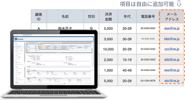 ノンプログラミングで簡単に、データベース項目をカスタマイズ