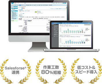 Salesforce®連携・作業工数80%短縮・低コスト&スピード導入