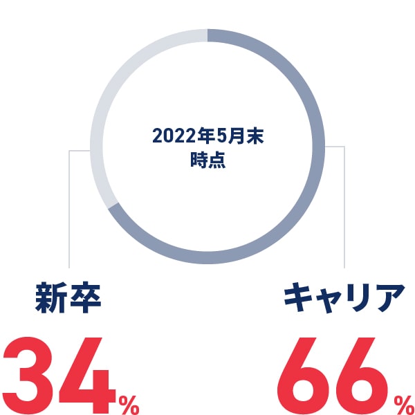 新卒34% キャリア66%